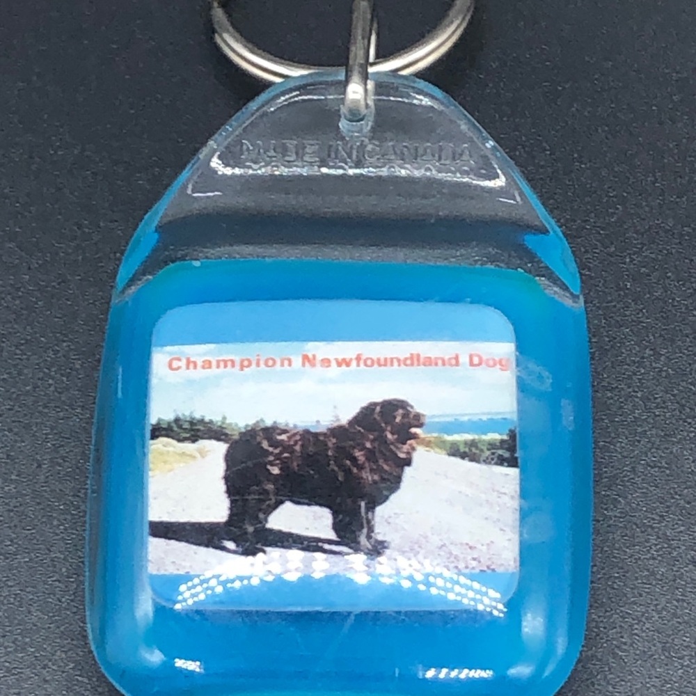 Newfoundland dog vintage key holder